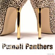Pumali Panthers - Pumali Panthers - Divibes