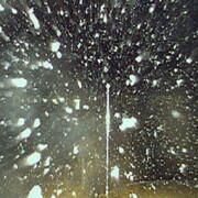 Primitive Painter - Armadillo in the snow [Dead Digital]